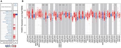 Prognostic and Immunological Role of FUN14 Domain Containing 1 in Pan-Cancer: Friend or Foe?